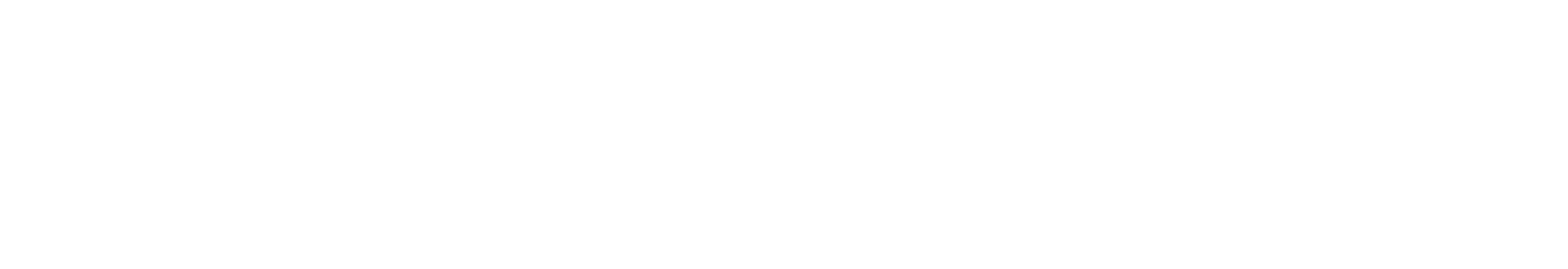 DCS Software Solutions